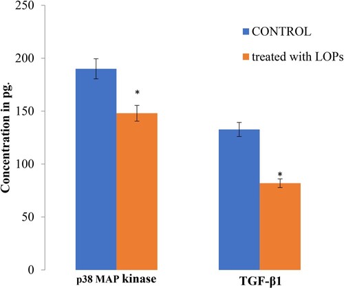 Figure 4. Effect of total LOPs on the expression of p38MAP kinase and TGF-β1 in 3T3-L1 cells. Note: Day-5 differentiated 3T3-L1 cells (treated with 100 µg/ml of total LOPs) were collected by scraping from culture flasks, lysed using cell extraction buffer for 30 min and centrifuged at 13,000 rpm for 10 min at 4°C. Cell lysates were diluted at the ratio of 1:10 using the standard dilution buffer provided in the kit and sandwich ELISA was performed by adding 100 µl of diluted cell lysates with appropriate controls as per manual instructions provided in the kit. Data are represented as mean ± standard deviation, with triplicate values. LOPs-Lutein Oxidized Products. TGF-β1-transforming growth factor beta 1, p38MAPK-p38 mitogen-activated protein. Two-way ANOVA was used for the comparison between each group. *P < 0.01, **P < 0.001, ***P < 0.005, ****P <0.0001.