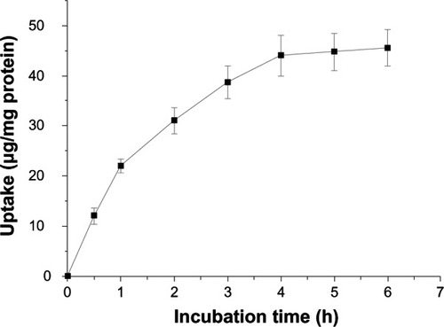 Figure 7 Effect of incubation time on NP uptake by hepg2 cells, at 37°C.Notes: The concentration of NPs used was 0.15 mg/mL. Data represents mean ± SD (n = 4).Abbreviations: HepG2, hepatocellular carcinoma; NP, nanoparticle; SD, standard deviation.