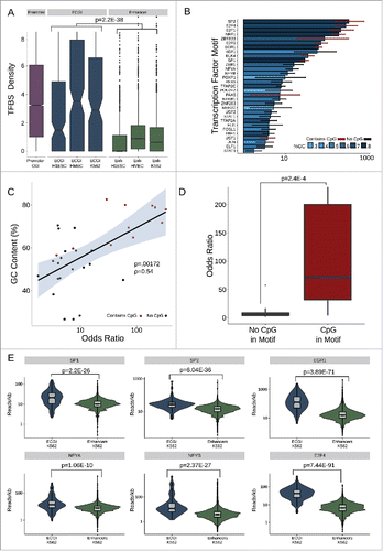 Figure 5. ECGI are enriched in transcription factor binding (A) Distribution of the density (per kb) of transcription factor binding sites (Jaspar database) among promoter CGI vs. ECGI or classical enhancers active in the indicated cell type. (B) Relative enrichment of each transcription factor binding motif in the cumulative pool of ECGI called in HMEC, K562, and H1ESCs relative to that in all classical enhancers from the same cell lines. Shown is the odds ratio (OR) of enrichment of each motif among ECGI vs. that of classical enhancers, +/−95% confidence interval for each motif for which the ratio was >1 (P<0.05, Fisher's exact). The GC content of each motif is indicated by the blue shaded bar color, and the error bar color indicates whether the motif contains a CpG (red, with CpG; black, without CpG). (C) Relationship between GC content of enriched motifs vs. OR of enrichment. Shown is the linear regression of the relationship, with shadows representing the 95% confidence interval. (D) Distribution of Odds Ratios of enrichment for those enriched motifs that contain or do not contain a CpG site. (E) Distribution of the ChIP-seq tag densities (reads/kb) for representative transcription factors whose motifs are enriched in ECGI among genomic loci classified as ECGI or classical enhancers active in K562 cells.