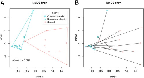 Figure 2. The beta diversity of skin microbiota. NMDS analysis was performed based on Bray distance. The 2-D coordinates were plotted with polygons indicating the groups (A) or with lines connecting paired samples from the same patients (B).