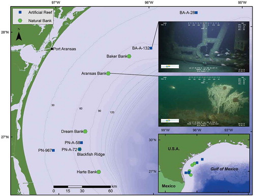 FIGURE 1. Map depicting locations of artificial reefs (blue squares) and natural banks (green circles) that were surveyed using a remotely operated vehicle, the Global Explorer, in the western Gulf of Mexico (GOM) during September and October 2012. Bathymetric contours (gray lines) are displayed in 30-m intervals. Inset map (bottom right) shows the study area relative to the western GOM region. Inset pictures provide examples of each habitat type.