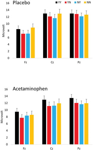 Figure 3. ERP waveforms on the frontal position (Fz), separate for placebo and acetaminophen groups and the four stimulus conditions. Y = Yes, N = No, so that YY = expected acceptance, YN = unexpected rejection, NY = unexpected acceptance, NN = expected rejection, ms = milliseconds