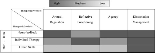 Figure 3. Multi-Level Regulatory Model integrating Therapeutic Processes. Figure 3 depicits the therapeutic processes that correspond to the different treatment modules (neurofeedback, individual therapy, and group skills(demonstrating the additive as well as specific gain in each process. Grey shade depicts the magnitude of gain (i.e. arousal regulation is extensively targeted and improved in neurofeedback, vs. medium and low levels targeted in individual and group therapy, correspondingly).