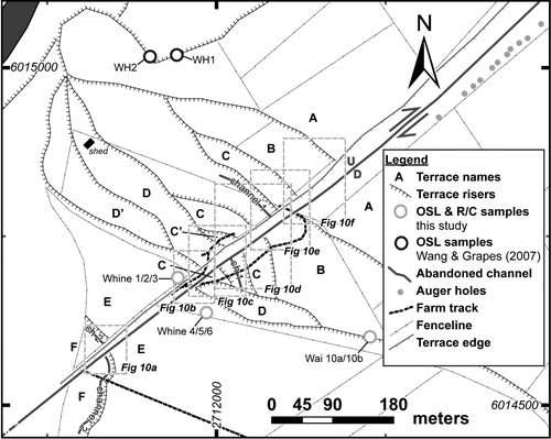 Figure 7  Geomorphologic interpretation and sample locality map of the terraces at Waiohine River based on this study. Six terraces (A–F) were identified; where terrace A corresponds to the oldest and highest aggradation terrace (Waiohine surface) and terraces B–F are degradation terraces of which terrace F is the youngest. Terraces C’ and D’ may represent locally developed palaeotopography on terraces C and D, respectively, and are not repeated on the southeast side of the fault. Distinct palaeochannels include Channel 1 (Ch1) and Channel 2 (Ch2). Wairarapa Fault is depicted by a bold line. Coordinates are in NZMG.