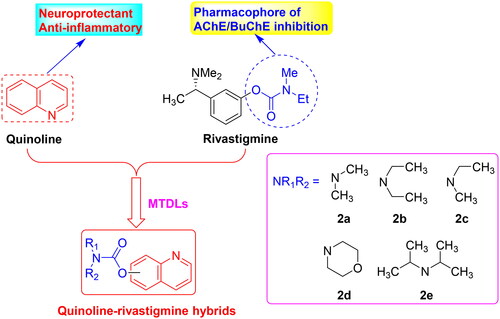 Figure 2. The design strategy of quinoline-rivastigmine hybrids.