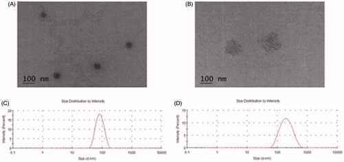 Figure 2. TEM micrographs and image of MO-H (A); TEM micrographs and image of MO-T (B); Scale bar = 100 nm. Size distribution of MO-H (C); Size distribution of MO-T (D).