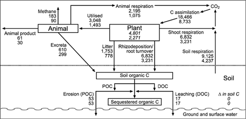 Figure 2  A simple C model illustrating the C cycle for a notional 1 ha hill country paddock for the summer moist site (upper value for each pool/process) and the summer dry site (lower value of each pool/process) as described for a base scenario (Table 1).