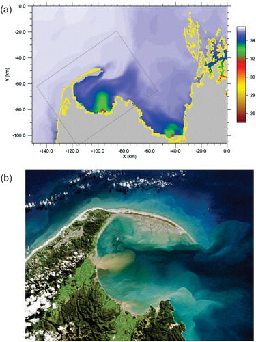 Figure 10. (A) salinity simulation snapshot from Tasman/Golden Bay (7 June 2010; Mark Hadfield, unpublished) and (B) satellite visual imagery from Golden Bay (12 May 2016, USGS/NASA Landsat) with the domain shown in panel (A). While the timing and primary river flows are different, the similarities in freshwater and sediment dispersal are apparent.