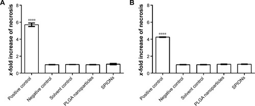 Figure 1 Induction of necrosis.Notes: Toxicity experiments with (A) 2.5×105 primary monocytes and (B) the MM6 cell line after 4-hour incubation with 500 ng/mL nanoparticles. For the assays, the commercial test system CytoTox-Glo (G9291) from Promega was used. Digitonin (60 µg/mL) was used for the positive control, cell culture media for the negative control, and water for the solvent control. Shown is the mean value ± SEM (n=3). Significance intervals are indicated by asterisks with the following intervals: P<0.0001 (****).Abbreviations: SEM, standard error of the mean; PLGA, poly(lactic-co-glycolic acid); SPIONs, superparamagnetic iron oxide nanoparticles.