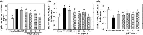 Figure 4. Hyaluronic acid content, and mRNA levels of HAS and HYAL in the skin of UVB-irradiated hairless mice treated with OHE. (A) HA content, (B) HAS mRNA expression and expression, (C) HYAL mRNA expression, Normal: drinking water without OHE, no UVB irradiation; UVBC: drinking water without OHE plus UVB irradiation; UVB-ET: topical application of vehicle (15% eucalyptol); OL: 0.1% OHE in drinking water plus UVB irradiation; OH: 0.5% OHE in drinking water plus UVB irradiation; TL: topical application of OHE at 0.2 mg/cm2 plus UVB irradiation; TH: topical application of OHE at 0.4 mg/cm2 plus UVB irradiation. The values are the mean ± standard error of the mean (SEM) (n = 6). Different letters indicate significant differences (p < 0.05) among the groups as indicated by Duncan’s multiple range test.