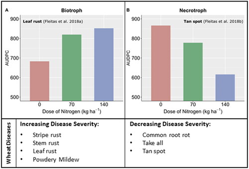 Figure 2. Biotrophic and necrotrophic wheat diseases react differently depending upon the dose of nitrogen applied. The area under the disease progress curve (AUDPC) was taken as a disease measure for leaf rust and tan spot. Adapted from (Simón et al., Citation2020).
