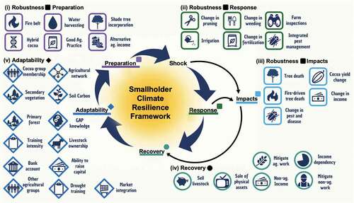 Figure 1. Climate resilience indicator framework for smallholder cocoa farmers as defined by farmers and value chain actors during the participatory process. Indicators are divided between the resilience components robustness, recovery and adaptability. (ag. = agricultural).