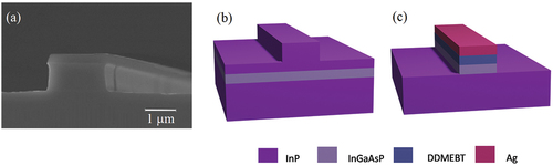Figure 7. Some possible structures for InGaAsP waveguides. (a) Scanning electron microscope image of the facet of a strip-loaded InGaAsP waveguide Reprinted with permission from [Citation193]. (b) and (c) show the schematics of an InGaAsP strip-loaded [Citation193] and an InP-based hybrid-plasmonic waveguide [Citation198], respectively.
