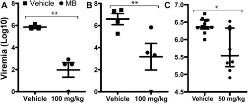 Figure 6. In vivo antiviral activity of MB against ZIKV. (A-C) Viremia was detected by plaque forming unit assay on day 3 post-infection of ZIKV with doses of 1.7 × 104 (A) or 1.7 × 105 (B-C) PFU/mouse in four-week-old A129 mice, which were treated with vehicle or MB though oral gavage. Difference between MB or vehicle treatment was analysed by using the unpaired, two-tailed T-test, *, P<0.05; **, P<0.005. N = 4 for A and B. For C, vehicle, N = 10; MB, N = 9.
