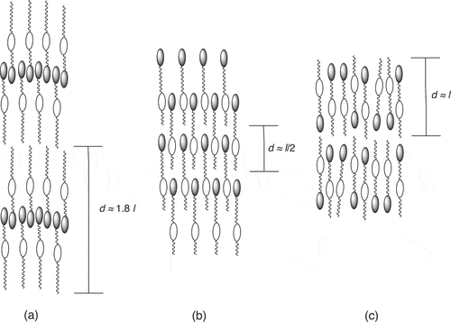 Figure 1. Sketches of the molecular organisation within (a) the interdigitated, (b) the intercalated and (c) the monolayer smectic A phases composed of nonsymmetric liquid crystal dimers: d denotes the layer spacing, and l the molecular length.