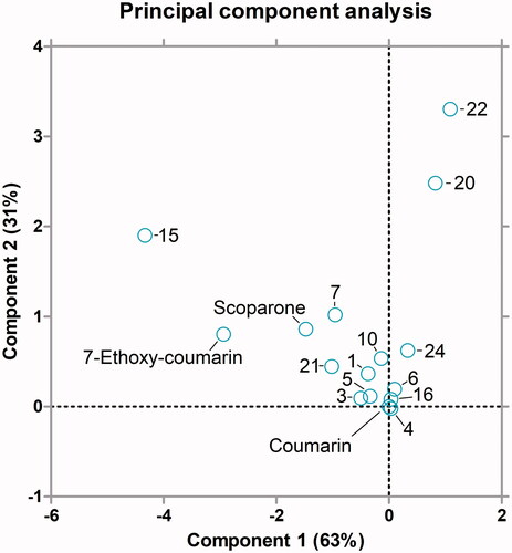 Figure 3. Principal component analysis biplot of the Michaelis-Menten kinetic parameters of oxidation of coumarin derivatives by CYP2A13. The analysis was done for the substrates in Table 1. The X-axis component explained 63% and the y-axis component 31% of the variation in the data.