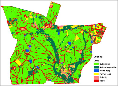 Figure 3. Classified and validated landcover map of Hippo Valley Estate in Zimbabwe for December 2021.