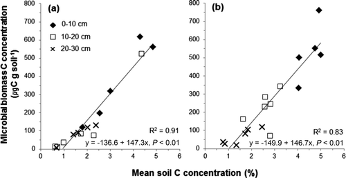 Figure 6. Relationship between the mean soil C concentration and the microbial biomass C concentration in the Pinus rigida (a) and Larix kaempferi (b) plantations.