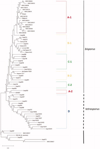 Figure 2. Dendrogram of 67 selected accessions from the original 360 Agaricus spp. accessions selected using the PowerCore program [Citation9] representing a core collection of entries with the most diverse alleles while eliminating redundancy from non-informative alleles.