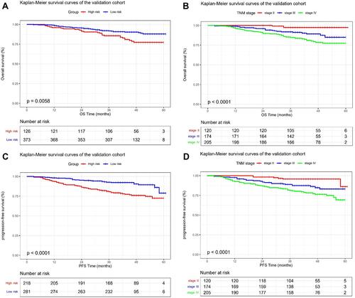 Figure 6 Kaplan-Meier survival curves of the validation cohort.