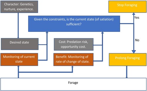 Figure 4. Flow chart showing foraging behaviour in a constrained environment where profitability must be incorporated. Colouring as in Figure 3.