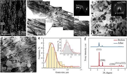 Figure 1. Heterogeneous structure (HS). All for HS after annealing at 923 K except for (c) at 913 K. (a) EBSD quality image. A few areas encircled by dotted line are fiber-like deformed structure. (b), (c), and (d) TEM images showing elongated lamellae and recrystallized grains. Insets in (b) and (c) are SAED pattern. (e) Statistic grain size distribution and aspect ratio (inset) for recrystallized grains. (f) XRD spectrum before and after tensile testing.