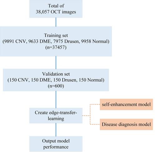 Figure 2 Workflow diagram (The workflow diagram shows the general flow of all experiments. First, the OCT image data is used to construct the self-enhancement model, the image with obvious edges can be obtained. At this time, the detection target is also intuitively represented. The enhanced data is used to train the disease diagnosis model. At last, the final performance of the model is evaluated by a completely independent data set. The multiscale transfer learning algorithm model consists of two parts: the self-enhancement model and the disease detection model.).