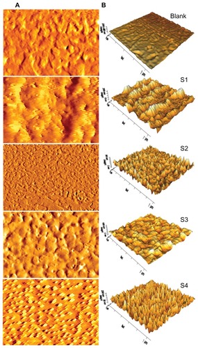 Figure 8 Topographical atomic force microscopy images of nanoparticle-incorporated polymer composite scaffold films with and without cross-linking (blank) in the dry state before the drug release study. (A) Atomic force microscopy lock-in amplitude image of integrated scaffold films. (B) Three-dimensional atomic force microscopy height images of A.Note: Scan size 1 × 1 μm.