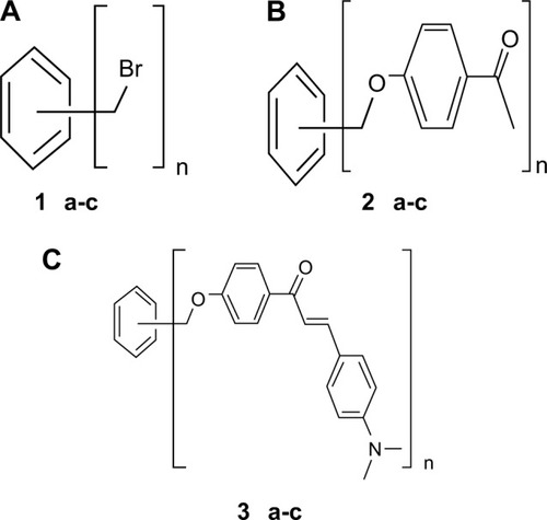 Figure 2 Synthesized chalcones used in the present study; benzyl bromides (1a–c), substituted ketones (2a–c), and substituted chalcone derivatives (3a–c), where A: n=2, B: n=3, C: n=4.