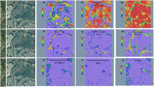 Figure 10. Mapping and verification of fractional landscape components in region 2 of the Hyperion scene: (a) Google Earth image, (b) quartz-rich Arenosols (A9), (c) iron-rich Nitisols (A14), (d) clay-rich Latosols (A16), (e) Forest1 (Aspen-like trees), (f) Forest1 (Blackberry-like trees), (g) FOREST (all), (h) GrassDry (nonphotosynthetically active), (i) Grass (photosynthetically active), (j) GRASS (all).