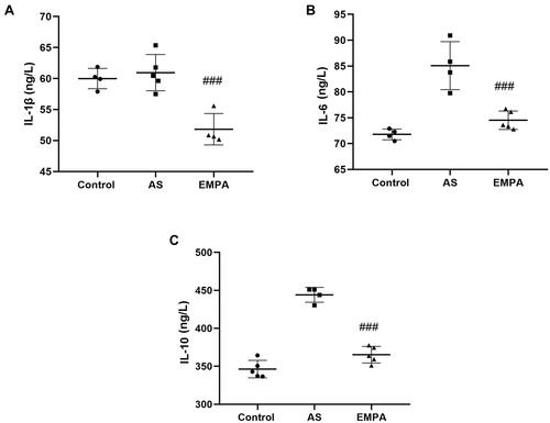 Figure 3 The serum level of IL-1β (A), IL-6 (B), and IL-10 (C) between Sham, AS and EMPA group. ###p<0.001.