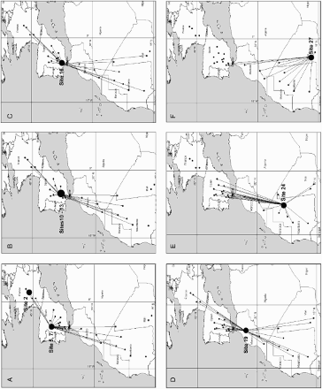 Figure 1. Important stopover sites and neighbouring sites located at the accessible distance of 2433 km ± 10% (indicated with the lines). (a): Landes ponds, Natural Park Monfragüe (site 5) and Regional Park of Gredos (site 7); (b): National Hunting Reserve in Cíjara (site 10), Natural Park Hornachuelos (site 11), Sierra de Cardena y Montoso (site 12), Despeñaperros (site 13); (c): Doñana Park (site 16); (d): Aguelmous (site 19); (e): Oasis of Lemghaïti (site 24); and (f): Lake Faguibine (site 27).