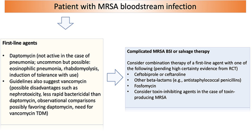 Figure 2 Proposed clinical reasoning for the treatment of MRSA bloodstream infections.