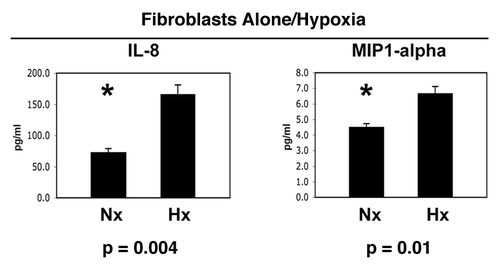 Figure 9 Hypoxia is not sufficient to induce the complete inflammatory response observed during the co-culture of fibroblasts with cancer cells. Fibroblasts were maintained under normoxia (Nx) or hypoxia (Hx) for a period of 2 days. Then, the conditioned media was collected and subjected to analysis for the secretion of >40 cytokines, growth factors and extracellular matrix proteins. Note that only IL-8 and MIP1α were modestly induced by hypoxia in fibroblasts, in the absence of cancer cells. Thus, the co-culture of fibroblasts with cancer cells is required for the full-blown inflammatory response. An asterisk indicates statistical significance.