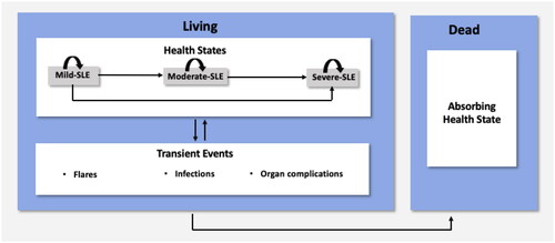 Figure 1. The model structure for SLE patients. Abbreviation. SLE, Systemic lupus erythematosus.