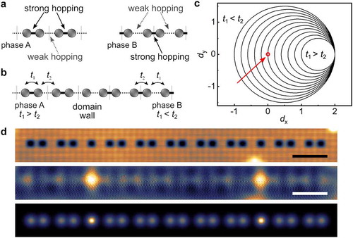 Figure 4. (a) The two phases in the SSH model where the strong hopping is either inside the unit cell (phase A) or between the unit cells (phase B). (b) Structure containing a domain wall where the intra-unit-cell (t1) and inter-unit-cell t2 hoppings are inverted. (c) Plots of d(k)σˆ=dxσˆx+dyσˆy as a function of the δt=(t1−t2)/2. The red circle marks the transition between the topological and trivial phases with the associated closing of the gap. (d) Experimental realization of a structure with two domain walls using the Cl vacancy system (top) and the corresponding experimental (middle) and calculated (bottom) LDOS maps of the domain wall states. Adapted by permission from Springer Nature: Ref. 65, Copyright (2017).