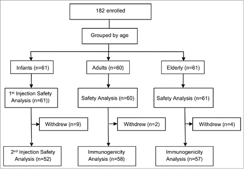 Figure 1. Flow chart of participants in each safety and immunogenicity analysis set through the study.