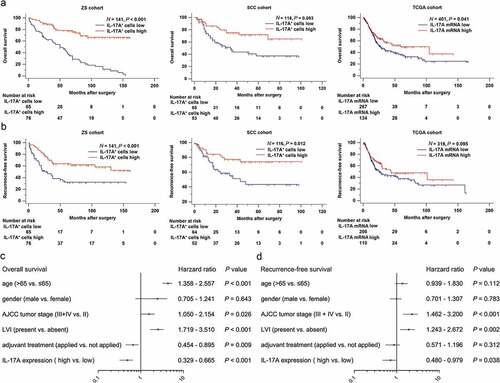 Figure 2. Tumor-infiltrating IL-17A+ cells and IL-17A mRNA indicate better survival for patients. (a and b) Kaplan–Meier curves comparing OS and RFS in muscle-invasive bladder cancer patients with high and low tumor-infiltrating IL-17A+ cells/IL-17A mRNA. (c and d) Multivariate cox regression analysis for IL17A expression and clinic-pathological variables