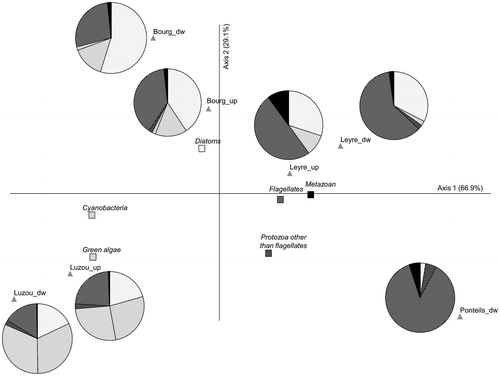 Figure 2. Principal Components Analysis (PCA): distribution of sampling sites based on transformed (log(x + 1)) relative abundances of the major components of biofilms. Close to each sampling site location, the proportions of autotrophs (light background) and micro-meiofauna (dark background) are described (pie charts). The corresponding periphytic groups are labelled accordingly in the PCA.