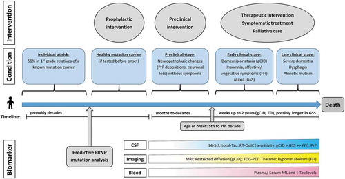 Figure 1. Timeline of interventions and biomarkers in genetic prion diseases. The course of gPD is characterized by subsequent stages and clinical milestones that are displayed in this flow chart. In addition, information on disease duration, age of onset, and gPD biomarkers is given. CSF biomarkers are mostly diagnostic, except for PrP that may also have potential as a monitor for therapeutic PrP lowering. Imaging as well as fluid markers may as well reflect disease stage or response to intervention. The figure is based on the authors’ expertise and on references [Citation2,Citation5,Citation6,Citation12–15]. It was created using Microsoft Office Power Point™