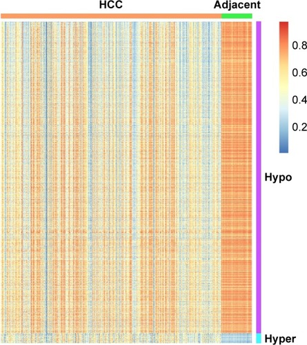 Figure 2 Heatmap of differentially methylated genes within promoters between HCC cancer tissues and adjacent tissues.