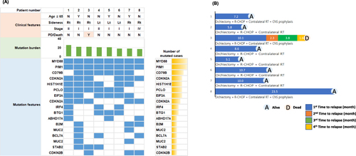 Figure 5 Paired analysis of mutation profiles in eight patients (A) and their swimmer plot (B).