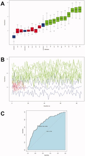 Figure 4. Feature selection and ranking by Random Forest. (A) The plot shows a boxplot of all the attributes plus the minimum, average, and maximum shadow scores. Variables with boxplots in green are important variables confirmed by Random Forest. Boxplots in red indicate that the variables were rejected. (B) History of decisions regarding the rejection or acceptance of features by Random Forest in 500 Boruta function runs. (C) Receiver operator characteristic curves for the IVIG-resistance prediction model calculated by Random Forest.