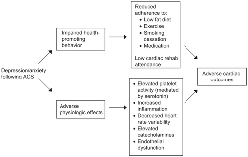 Figure 2 Putative mechanisms linking depression/anxiety and cardiac outcomes in acute coronary syndrome (ACS) patients.