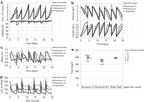 Figure 3. Scaling up the HEK293 DKO seed train from a 1 L shake flask to controlled 2 L bioreactors. Bioreactor #1: pH setpoint of 7 with a deadband of ±0.03 and a DO setpoint of 30%. Bioreactor #2: pH setpoint of 7 with a deadband of ±0.4 and a DO setpoint of 60%. Passaging the 1 L shake flask and 2 L bioreactors every 3–4 days for 25 days: (A) VCD and viability, (B) glucose and lactate, (C) offline pH, and (D) pO2. (E) Day 7 transfection titers from 30 mL tubespins.