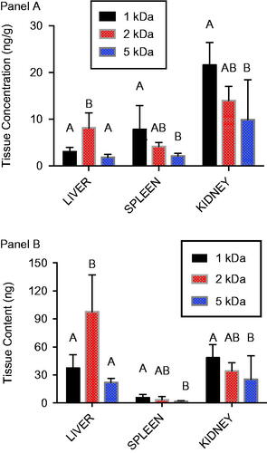 Figure 5. Tissue distribution of 1, 2 and 5 kDa PEG-coated 5 nm AuNPs following oral administration. Gold content was measured in liver, spleen, and kidney at sacrifice 48 h after an oral dose (8.0 mg/kg) of either 1, 2 or 5 kDa PEG-coated 5 nm AuNPs. A) Gold concentration in tissues. B) Mass of gold in the tissue based upon tissue concentration and total weight of the organ. Results are presented as mean ± SD, N = 5. Bars with letter superscripts (A, B or AB) denote significant differences among PEG-coated particle types; bars with different letter superscripts are significantly different p < 0.05.