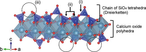 Figure 8. Structural model of single hetero-layer of calcium silicate hydrate: (i) bridging SiO4 tetrahedron, (ii) pairing SiO4 tetrahedra, and (iii) defect site of bridging tetrahedra