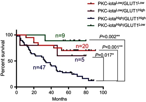 Figure 6 High PKC-iota and GLUT1 co-expression is related to poor NSCLC prognosis. Kaplan–Meier analysis of overall survival as a function of PKC-iota and GLUT1 levels in NSCLC tumor tissues.