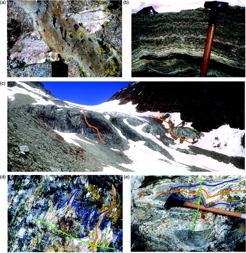 Figure 6. (a) metagabbro cut by meta-aplites and type II meta-porphyritic dykes. Porphyritic dykes show chilled margins. Black Brunton compass for scale; (b) S3 crenulation cleavage develops where S2 is more pervasive in mylonitic metagranitoids (Bivouac de la Sassa subarea); (c) View of the base of the Glacier de la Sassa. Valpelline Series and Arolla Series rocks are on the right side and left side of the picture respectively. The contact between the two Series is mylonitic, parallel to the S2 foliation recorded in the metagranitoids, and affected by meter-scale D3 folds; S2 trace in orange; (d) interference pattern between D2 and D3 folding in melanocratic metagranitoids; S1, S2, and AP3 are in blue, orange, and green, respectively; 4 cm long eraser as scale; (e) Ramsay's type 3 interference pattern between D2 and D3 folding in leucocratic metagranitoids; S1, S2, and AP3 are in blue, orange, and green, respectively.