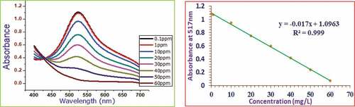 Figure 4. Absorbance of leftover DPPH and its calibration curve with the use of added ascorbic acid standard.